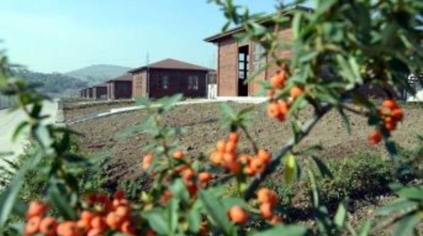 Balıkesir Belediyesi Hobi Bah&ccedil;eleri Kullanıma Hazır