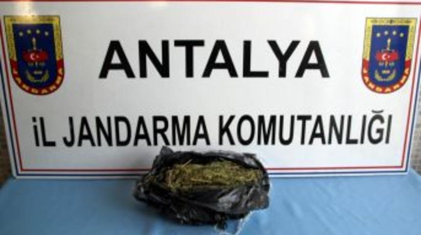 Manavgat'ta 1,1 Kilogram Esrar Ele Geçirildi
