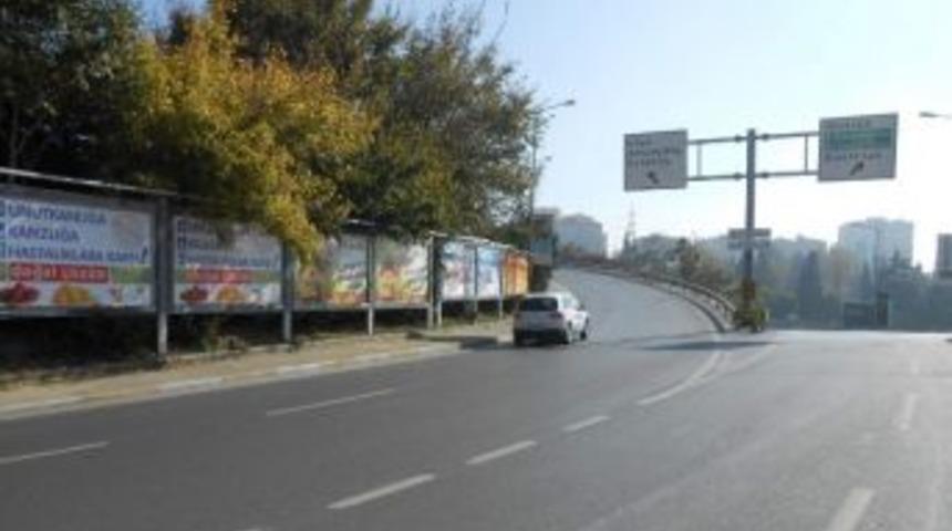 Kendini Kayısıya Adadı