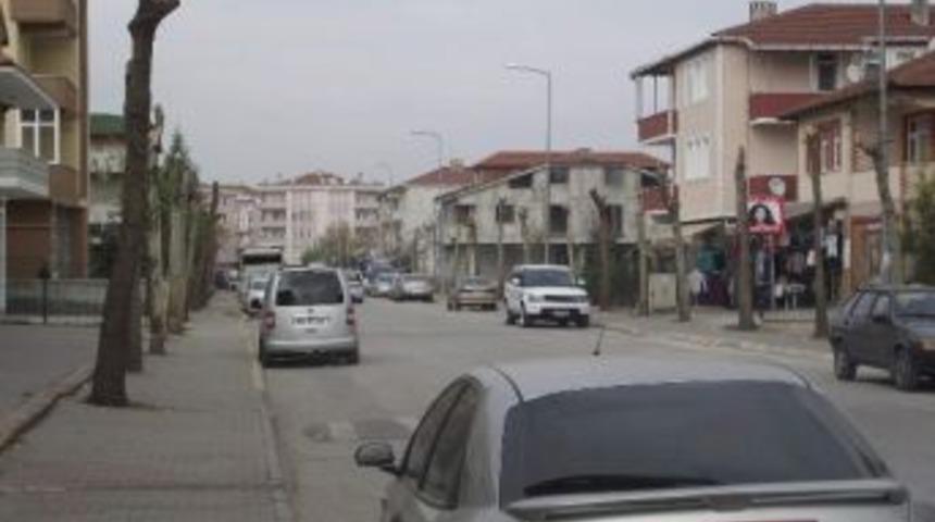Arifiye'de Ağa&ccedil;lar Budanıyor