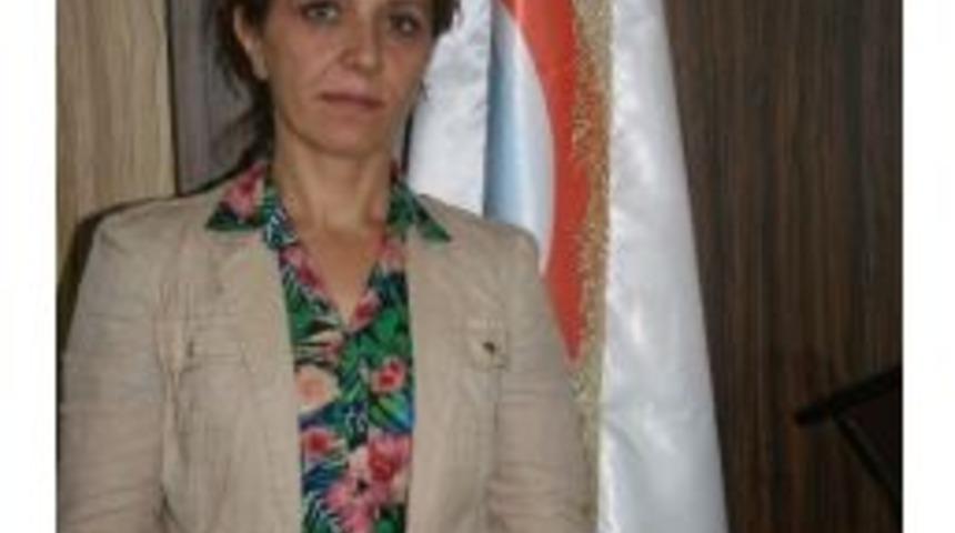 Kilis&rsquo;te Organik Zeytin Festivali Yapılacak