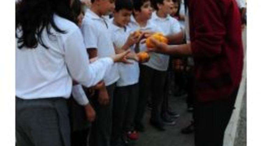 Narenciye Dağıtımı Mezitli'deki Okullarda Devam Ediyor