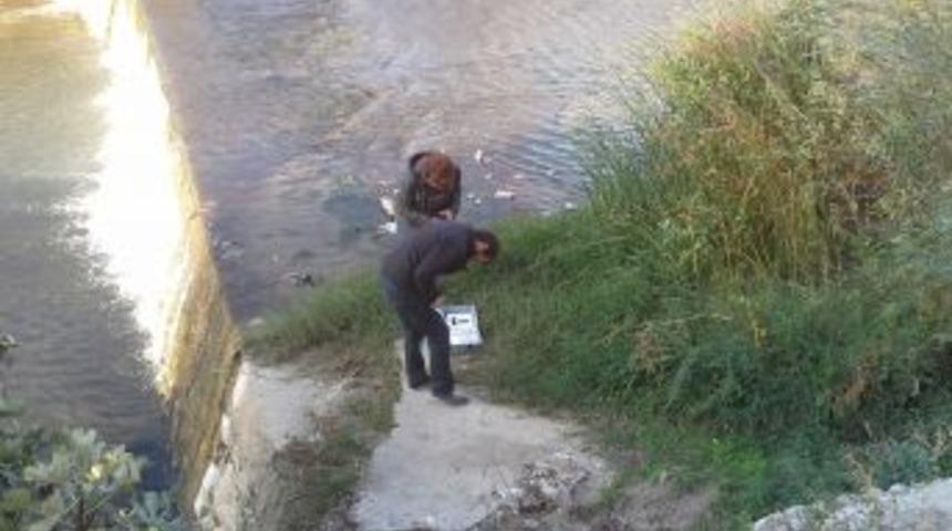 Edremit &Ccedil;ayı'ndaki Balık &Ouml;l&uuml;mleri I&ccedil;in Inceleme Başlatıldı