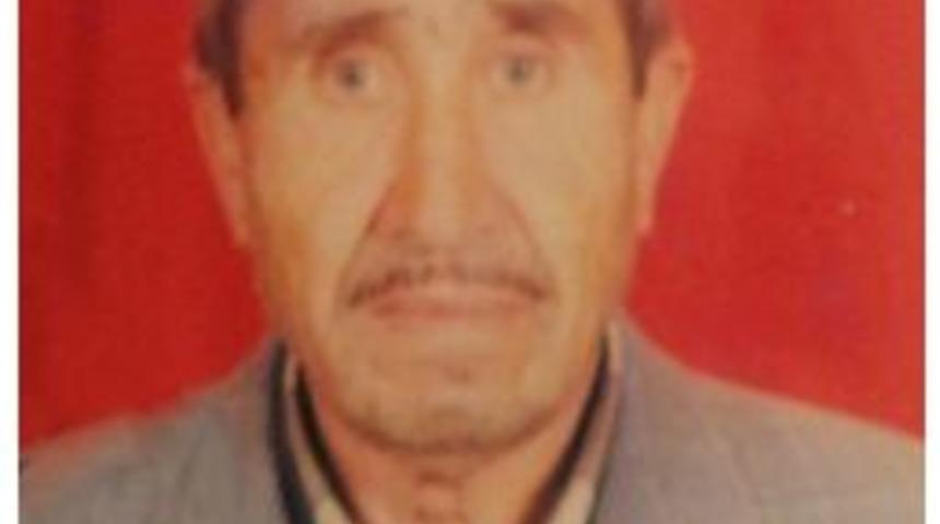 Zeytin Ağacından İkinci D&uuml;ş&uuml;ş&uuml;nde Hayatını Kaybetti