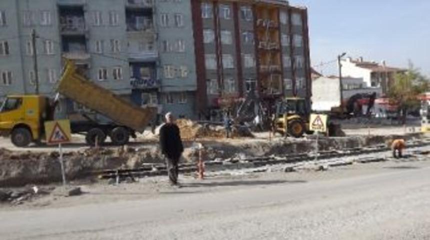 Yol Yapımı Sırasında Ağa&ccedil;lar Canlı Olarak Naklediliyor