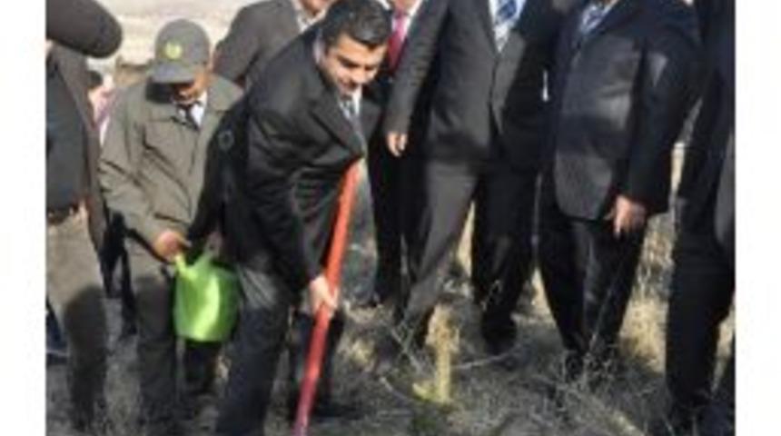 Yıl Sonuna Kadar 3 Milyon Fidan Toprakla Buluşturulacak