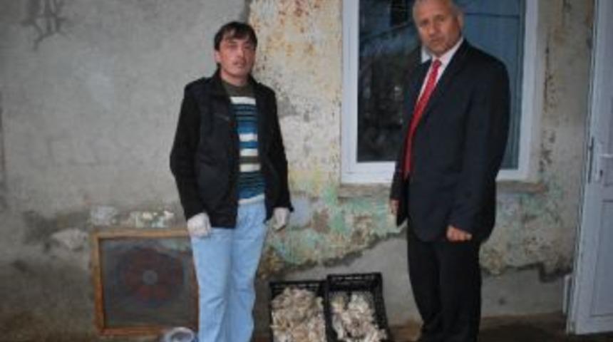 3 Ayda 3 Ton Mantar &Uuml;retti