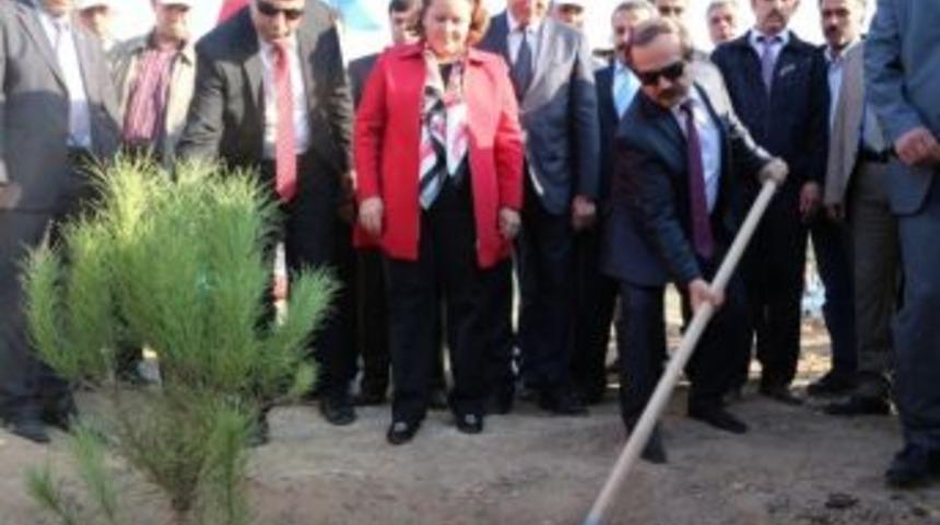 &Ccedil;ukurova &Uuml;niversitesi&rsquo;ne 5 Bin Fidan Dikildi