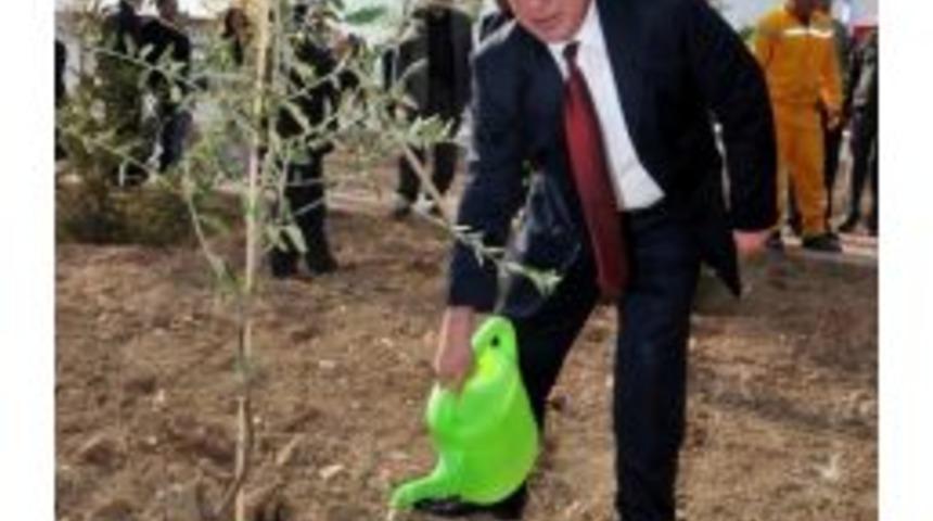 'her &Ouml;ğrenciye Bir Fidan Kampanyası' Ak&uuml;&rsquo;de Hayata Ge&ccedil;irildi