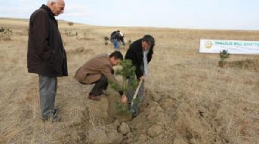 Bir &Ouml;ğrenci Bir Fidan