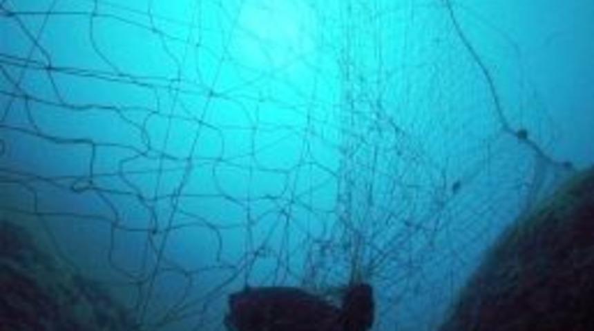 &ldquo;sorumlu Balık&ccedil;ılık Sertifikası&rdquo; Sahipleri Halkın Tercihine G&ouml;re Belirleniyor