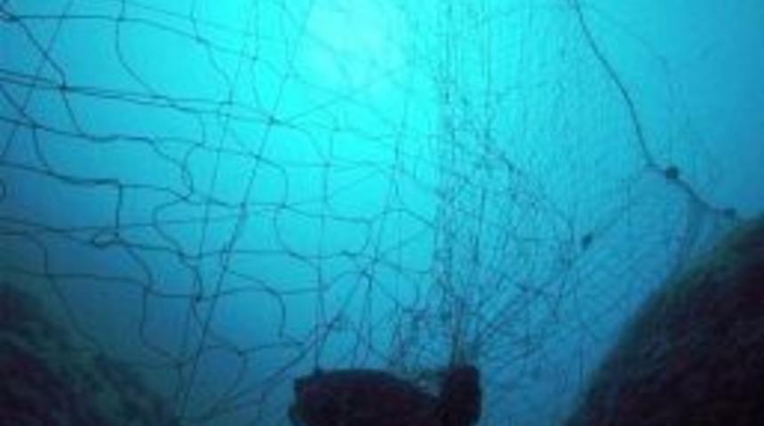 Sorumlu Balıkçılık Sertifikalarını Yerel Halk Belirliyor