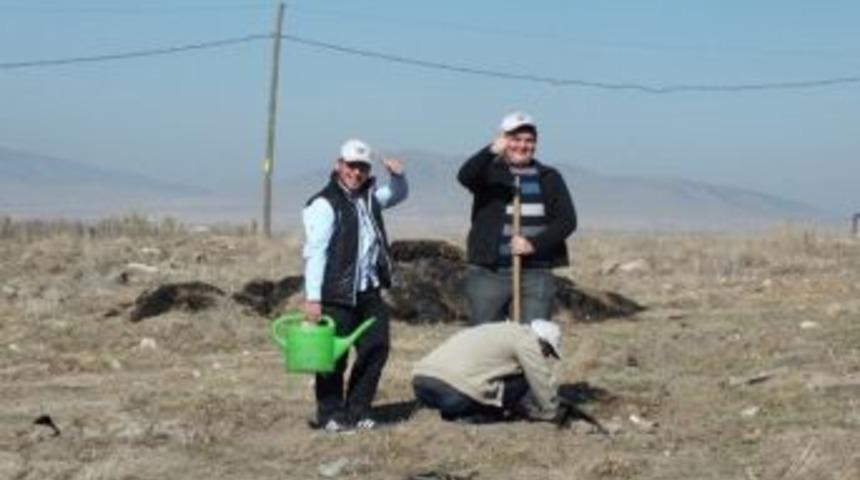 &Ouml;ğrenciler 3 Bin Ceviz Fidanı Dikti