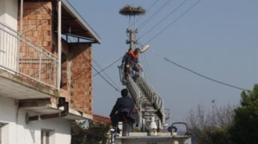 Sel&ccedil;uk'ta Leylekleri Koruma &Ccedil;alıştayı