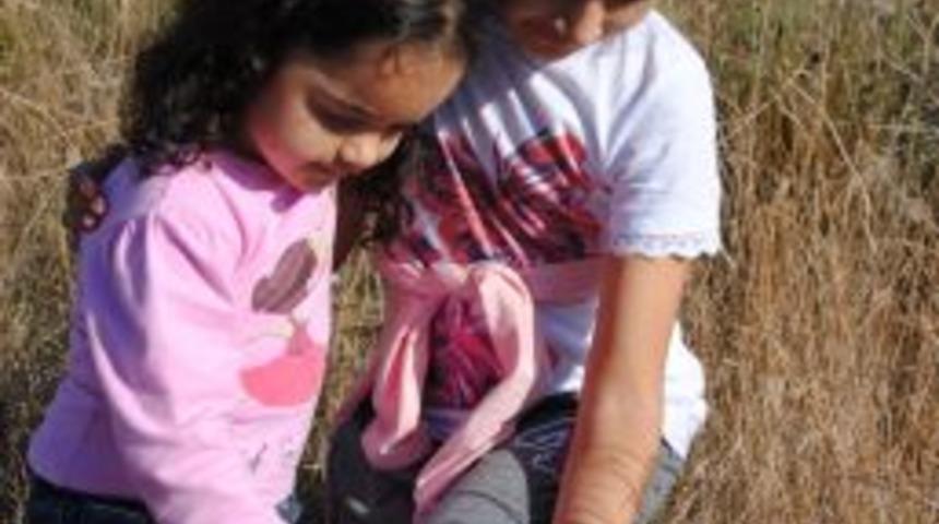 Baharın M&uuml;jdecisi Papatyalar Side'de Sonbaharda A&ccedil;tı