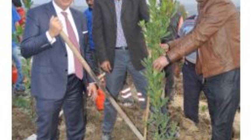 Fikret Orman: Pirlo'ya &Uuml;&ccedil; Yıllık Kontrat Tamamen Palavra