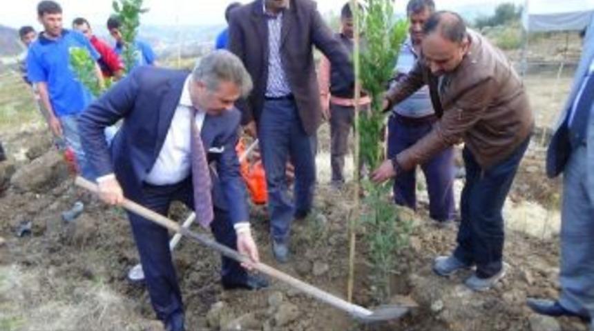 Beşiktaş Kul&uuml;b&uuml; Hatay&rsquo;da 20 Bin Fidan Dikecek