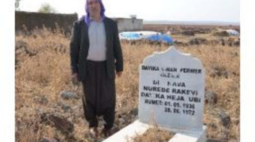 Şivan Perver, Doğduğu K&ouml;yde D&ouml;rt G&ouml;zle Bekleniyor