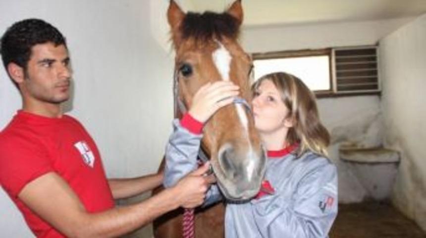 Atların Bayan Kahramanları