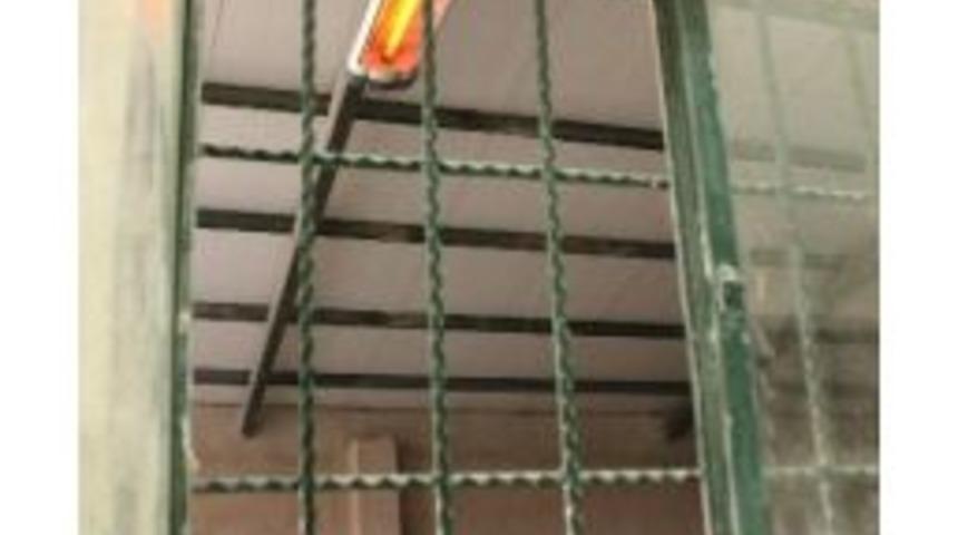 Hayvanlar Kışın &Uuml;ş&uuml;meyecek