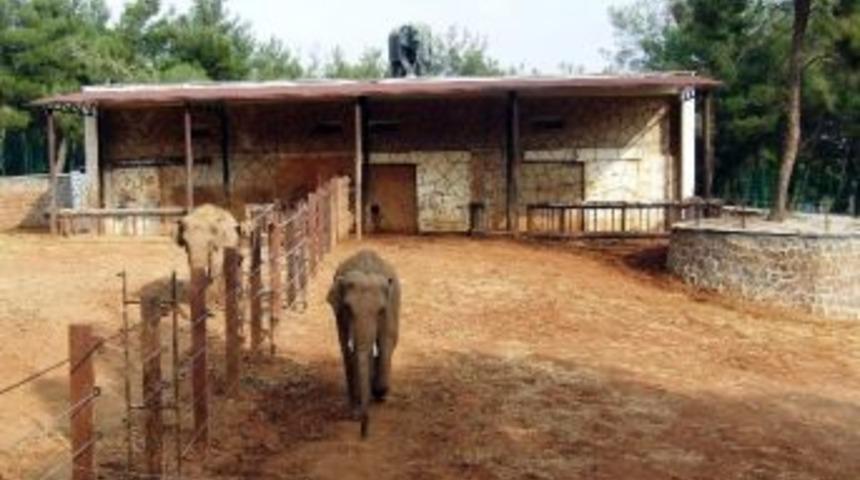 T&uuml;rkiye&rsquo;nin En B&uuml;y&uuml;k Hayvanat Bah&ccedil;esi Kışa Hazır