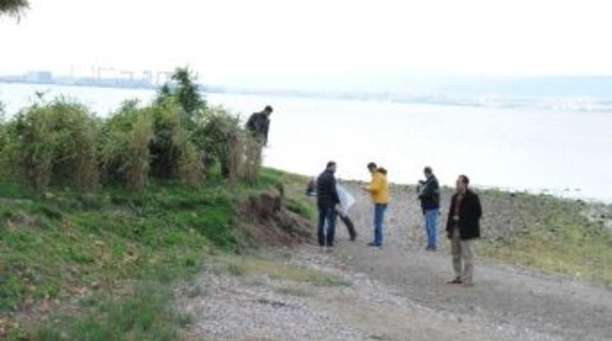 El Bombası F&uuml;nyeleri Sahile Vurdu