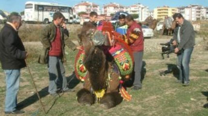 Develer İ&ccedil;in Geleneksel Havut Hayrı Yapıldı