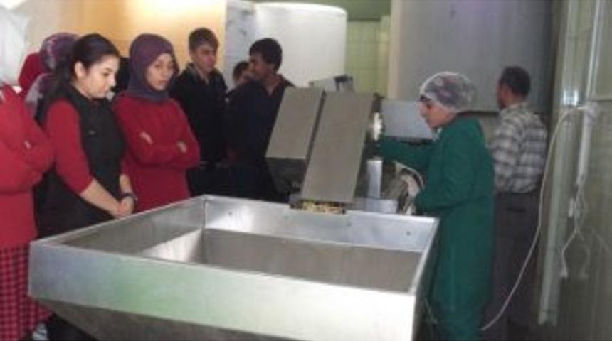 &Ouml;zel Bet&uuml;l &Ouml;ğrencileri İlk Kez Zeytin Tesisi G&ouml;rd&uuml;