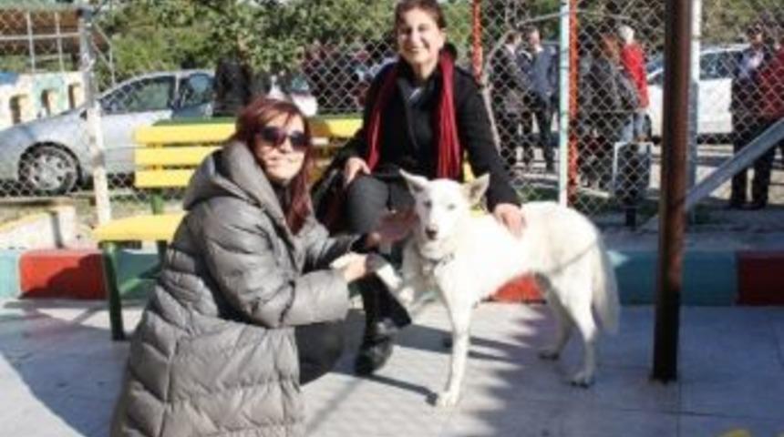 Haytap Temsilcileri Köpek Barınağını Ziyaret Etti