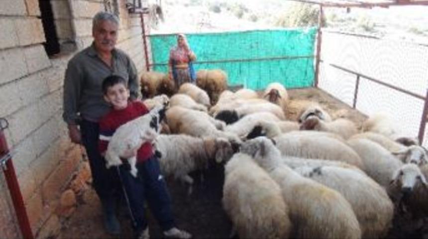 Orköy’den Köylüye Destek Projesi