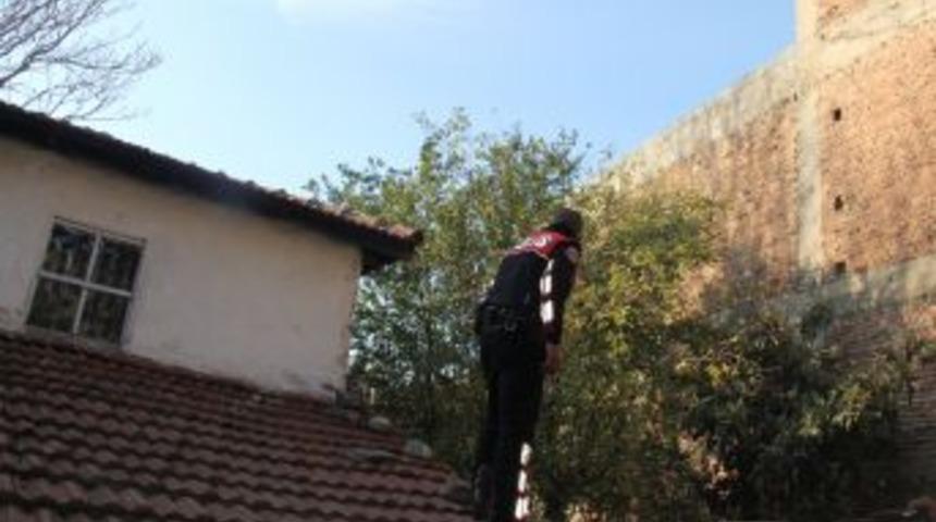 Adliyeden Ka&ccedil;an Kelep&ccedil;eli Zanlı Polis Ekiplerini Harekete Ge&ccedil;irdi