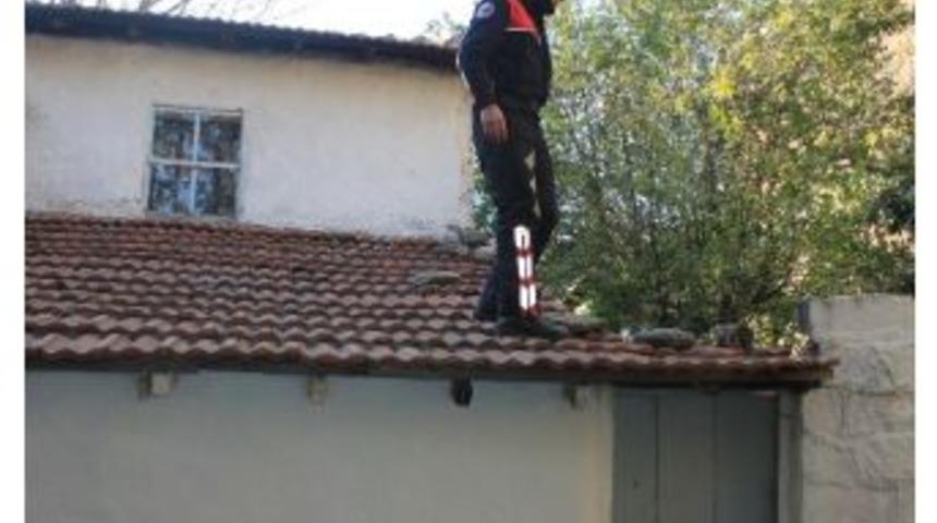 Elleri Kelep&ccedil;eli Zanlı Kayıplara Karıştı