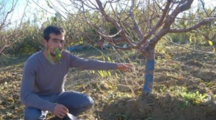 K&ouml;yl&uuml;lerin Elektrik İsyanı