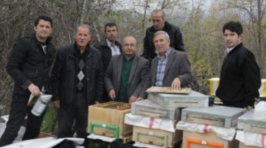 Arılar Bu Yıl Bal Yapmadı