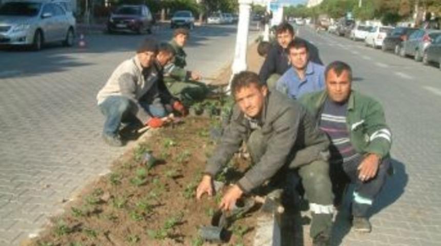 Burhaniye&rsquo;de Sokaklar &Ccedil;i&ccedil;ek Kokacak