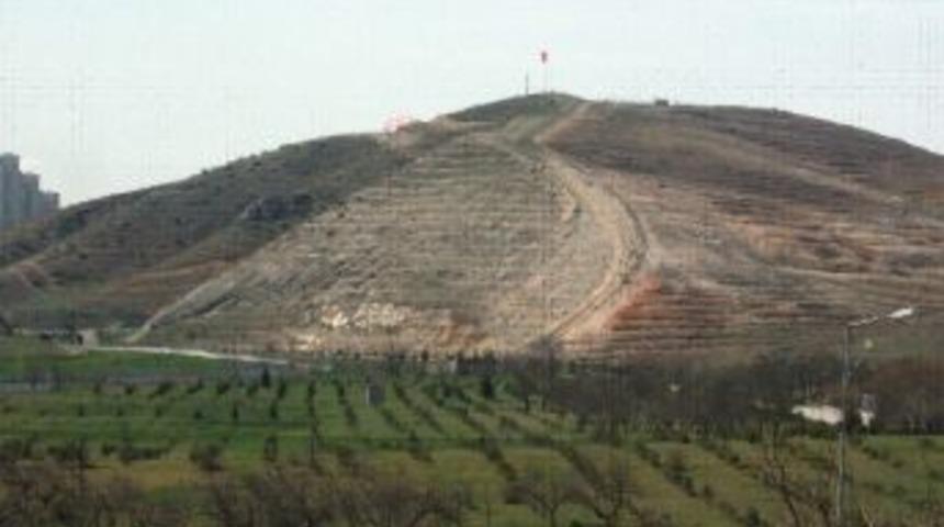 Tsk Ormanları Kuruluyor