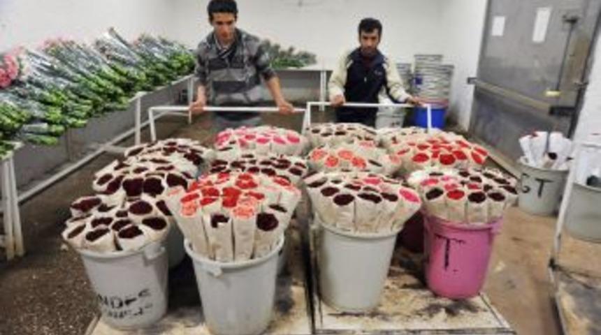 Antalyalı &Ouml;ğretmenler Vanlı Meslektaşlarını Unutmadı; 12 Bin Karanfil G&ouml;nderdi