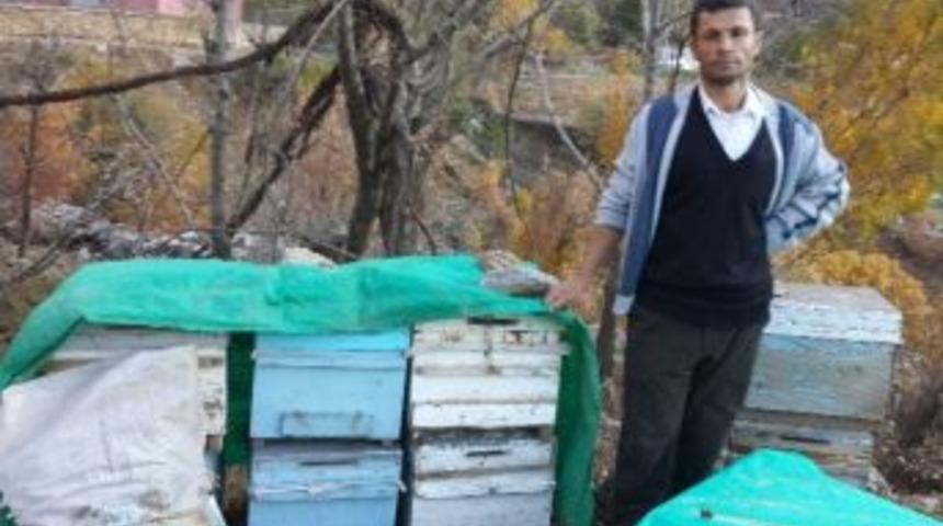 İthal Bal Arıcılığı &Ouml;ld&uuml;rd&uuml;
