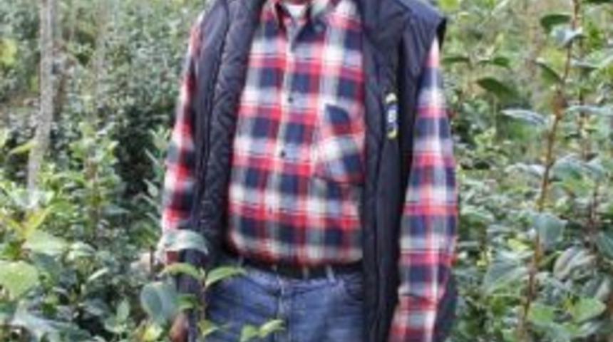 Rize&rsquo;de Fidan &Uuml;retimi Dikkat &Ccedil;ekiyor