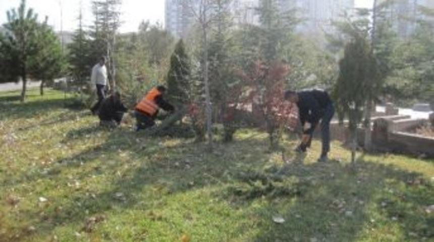 İncesu Belediyesi Mezarlıklara Bakım Yaptı
