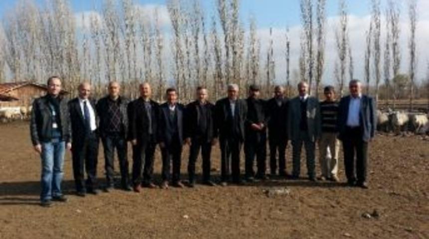 Ayhan&rsquo;dan Koyun İşletmelerinde İnceleme