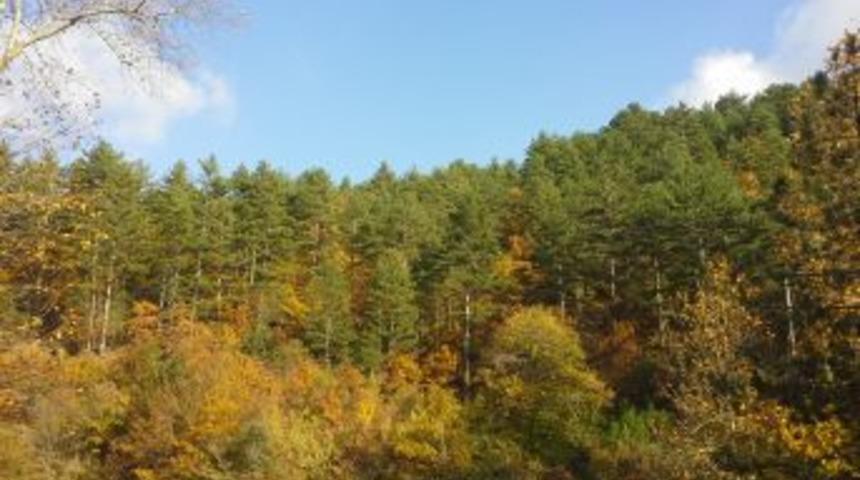 Kaz Dağları'nda Sonbahar Bir Başka G&uuml;zel Oluyor