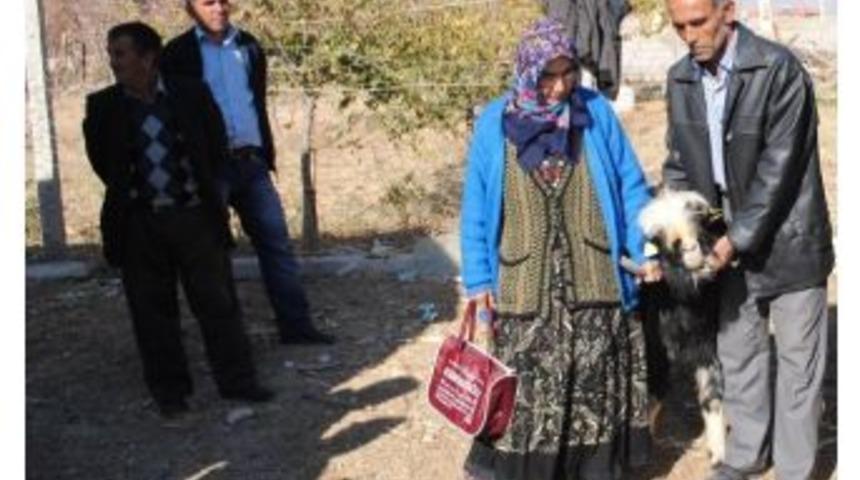 Karaman&rsquo;da 30 Adet Damızlık Kıl Ke&ccedil;isi Dağıtıldı