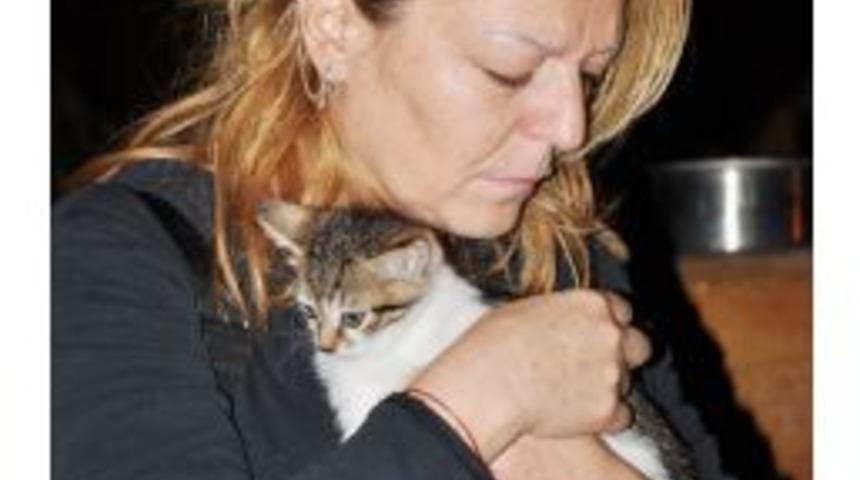 Kedileri Vahşice &Ouml;ld&uuml;rm&uuml;şler