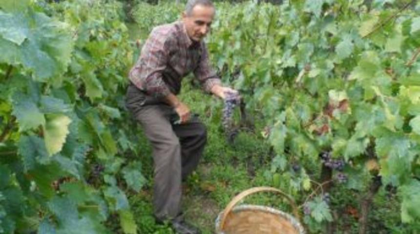 Kara&ccedil;atlak &uuml;z&uuml;m&uuml;n&uuml; yaşatmaya &ccedil;alışıyorlar