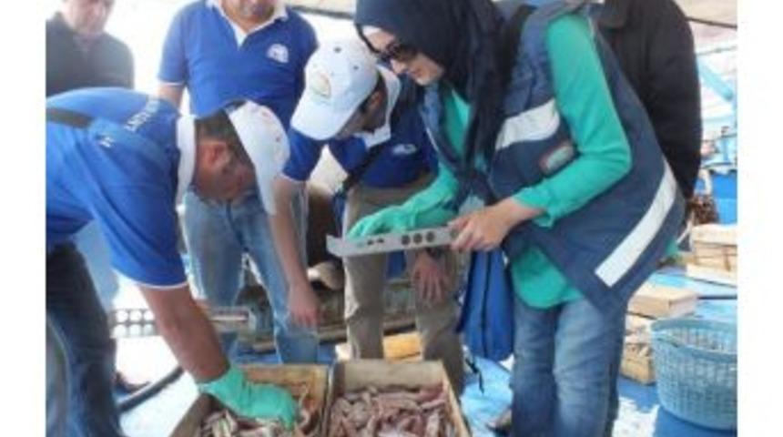 Bakanlık Ka&ccedil;ak Avlananlara G&ouml;z A&ccedil;tırmıyor