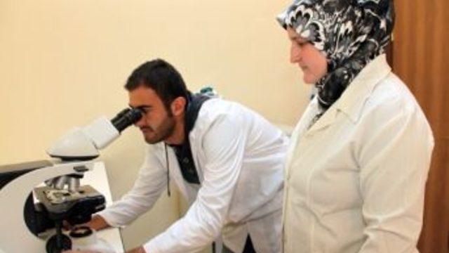 Karaman’da Elma Bahçelerindeki Yararlı Solucanlar Araştırıldı