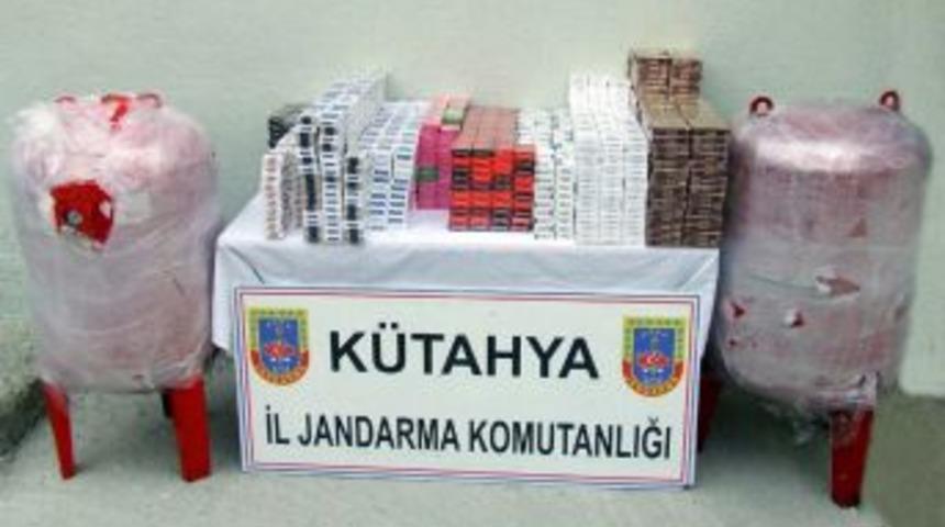 Hidrofor tankından bonzai &ccedil;ıktı