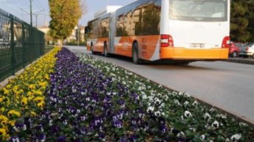 Gaziantep Kış Mevsiminde De Rengarenk