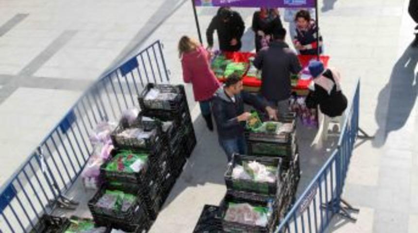 Laleler 12 Noktada Satışa Sunuldu